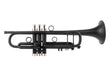 Black trumpet on a white background