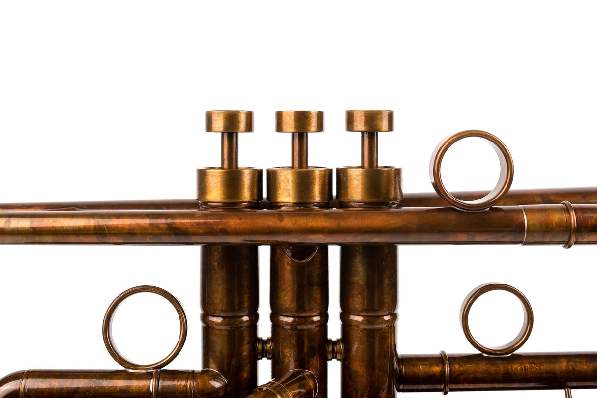 Bach Stradivarius 37 Trumpet | Light Version by KGUmusic