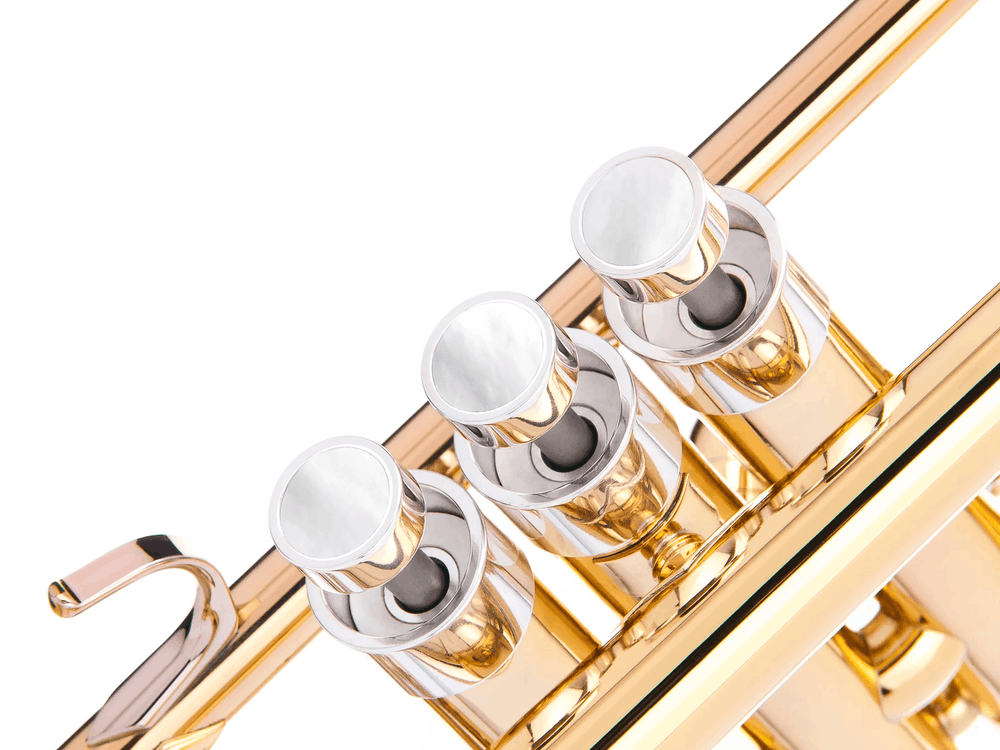 Trumpet MEDIUM Trim kit. KGUmusic