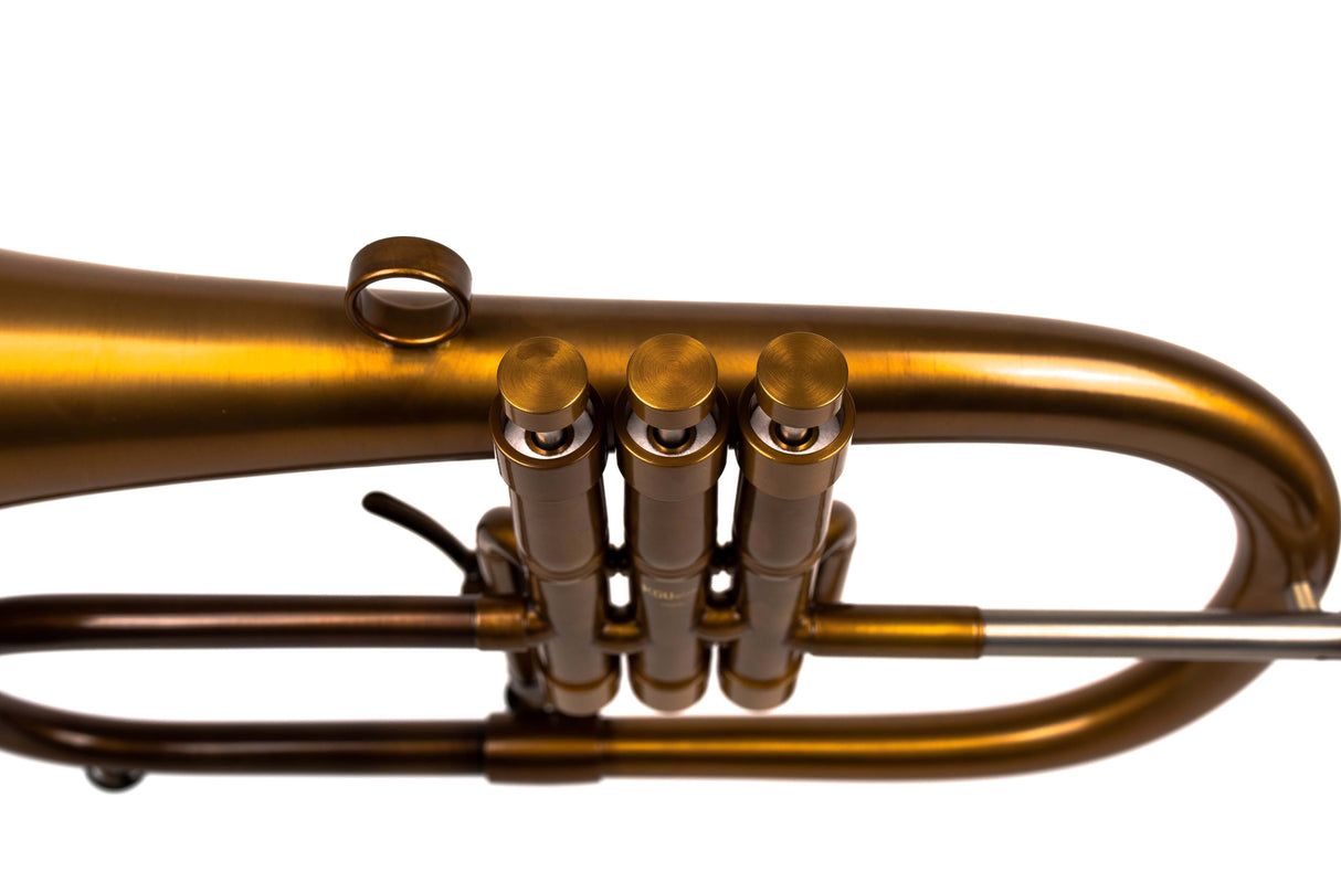 KGUmusic-Taylor collaboration Bronze Patina Flugelhorn