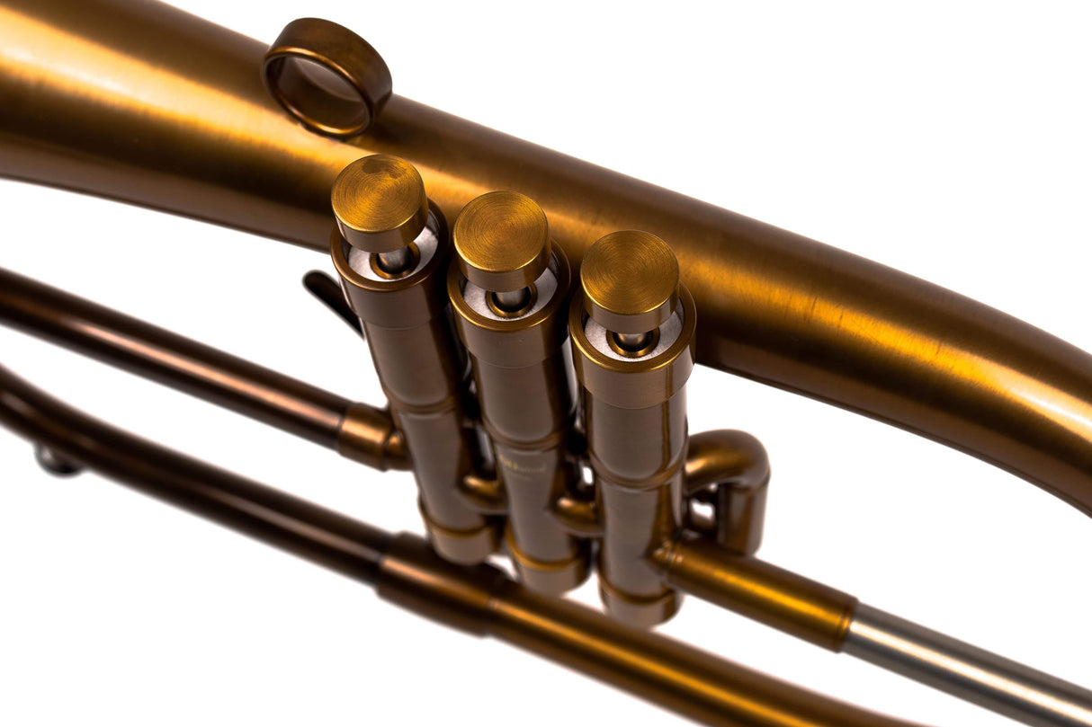 KGUmusic-Taylor collaboration Bronze Patina Flugelhorn