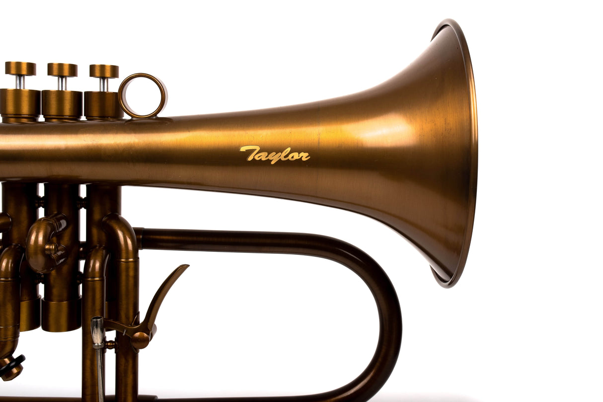 KGUmusic-Taylor collaboration Bronze Patina Flugelhorn