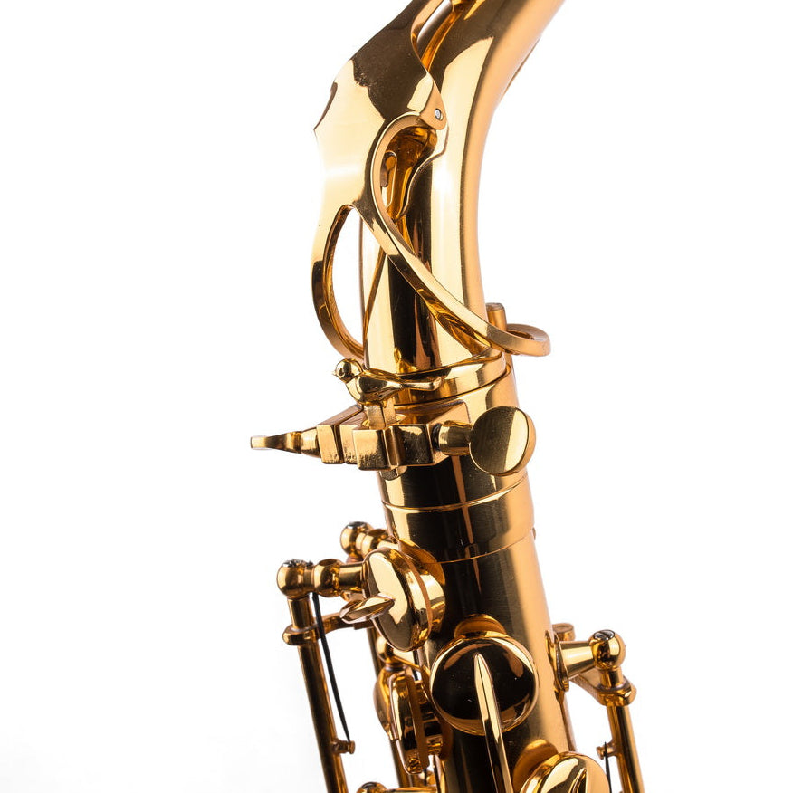 Saxophone ArtTone Booster | Tone Enhancer | Bird Design