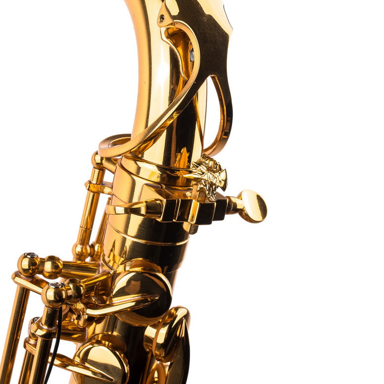 Saxophone ArtTone Booster | Tone Enhancer | Dragon Design