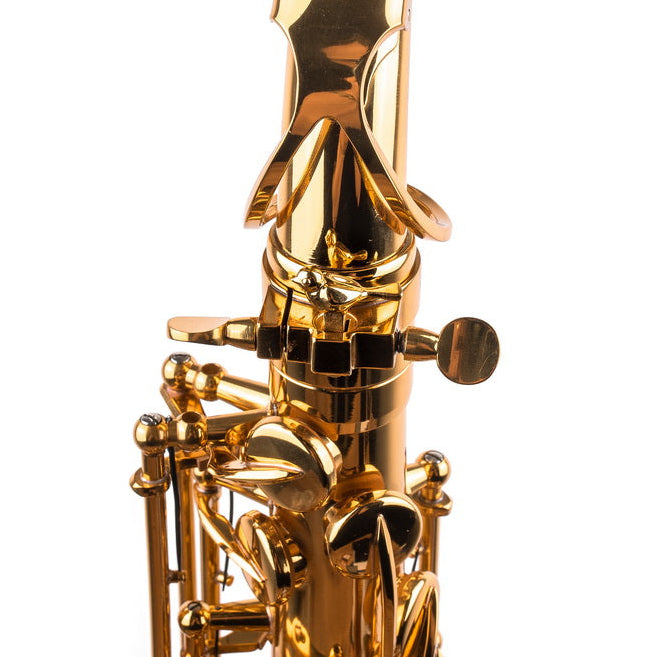 Saxophone ArtTone Booster | Tone Enhancer | Bird Design