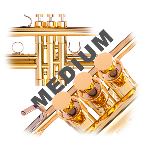 Trumpet MEDIUM Trim Kit KGUBrass