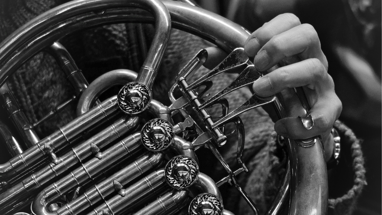 French Horn in Various Musical Styles (classical music, jazz, rock)
