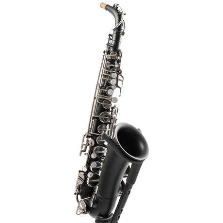 Customized Saxophones
