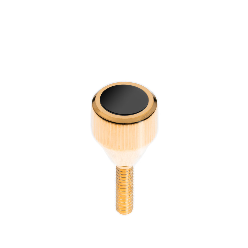 SAXOPHONE NECK SCREWS (ALTO, TENOR, SOPRANO, BARITONE) | HEAVY 175