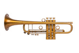 Bach Stradivarius 180-37 | Custom Vintage Trumpet by KGUmusic