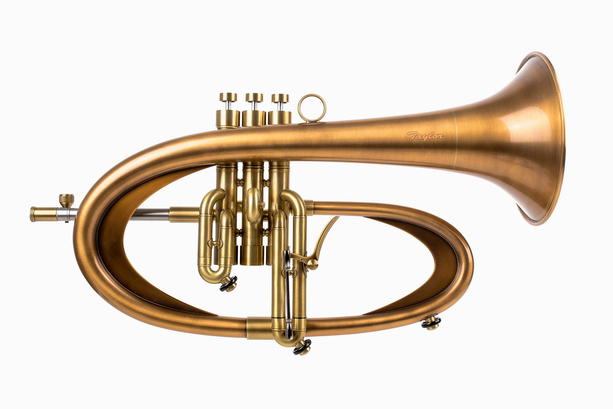 Bronze flugelhorn by KGUmusic on a white background