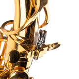 Saxophone ArtTone Bronze Booster - Trident Design