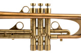 KGUmusic Ardor M2 Trumpet - Bright Finish | 133 mm Bronze Bell