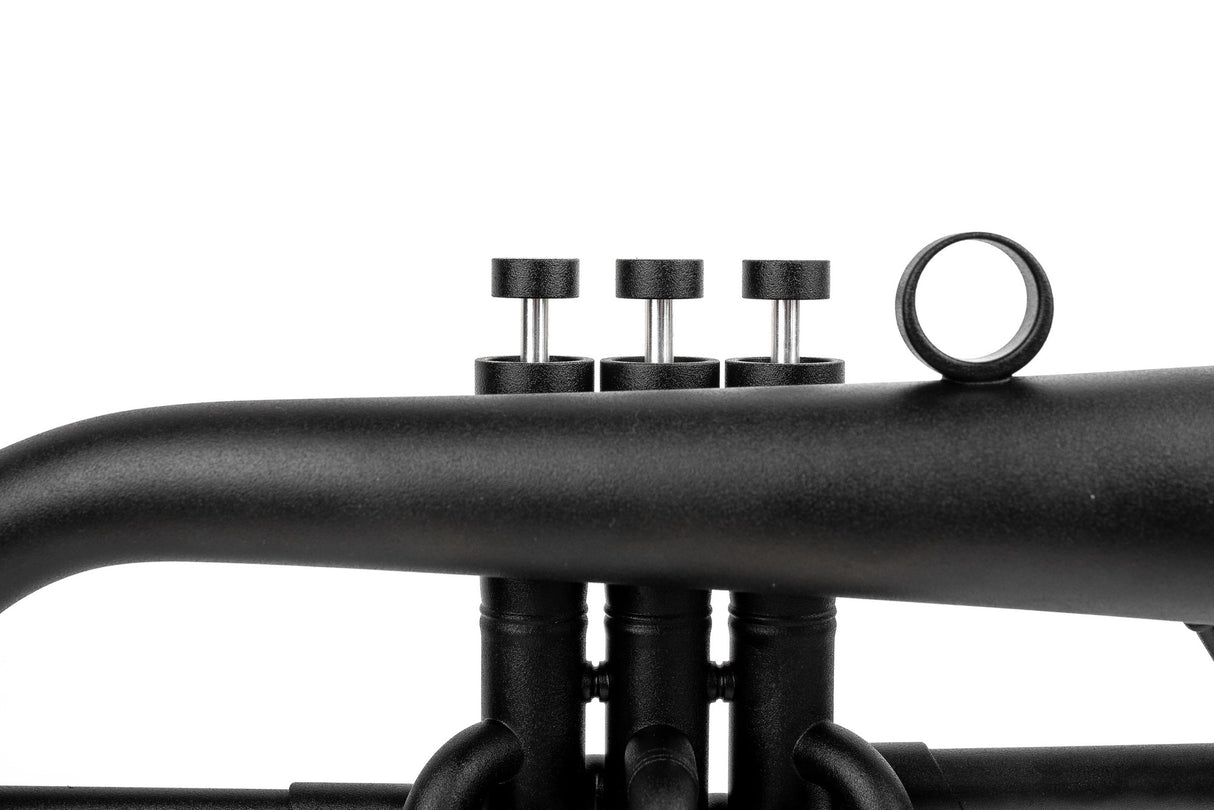 KGUmusic F1 Flugelhorn with Bronze Bell | Black Lacquer