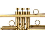 Stomvi VRII Trumpet | Customized by KGUmusic | Serial No. 31152