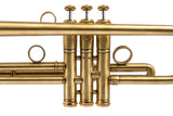 Stomvi VRII Trumpet | Customized by KGUmusic | Serial No. 31152