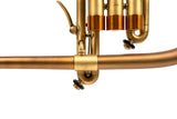 KGUmusic-Taylor Heritage Flugelhorn | Bronze Bell | Unique Finish
