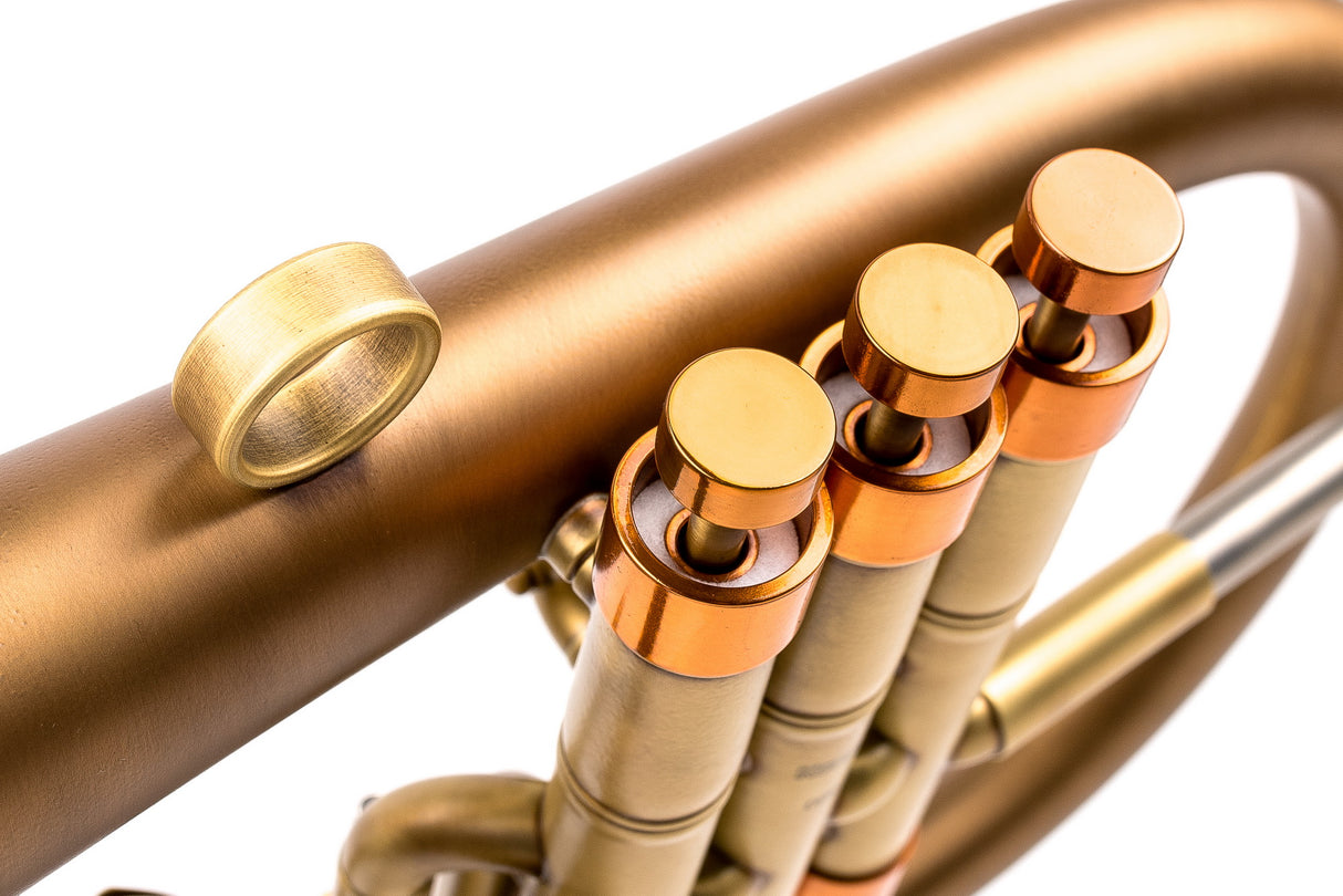 KGUmusic-Taylor Heritage Flugelhorn | Bronze Bell | Unique Finish