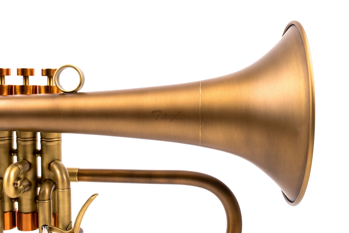 KGUmusic-Taylor Heritage Flugelhorn | Bronze Bell | Unique Finish