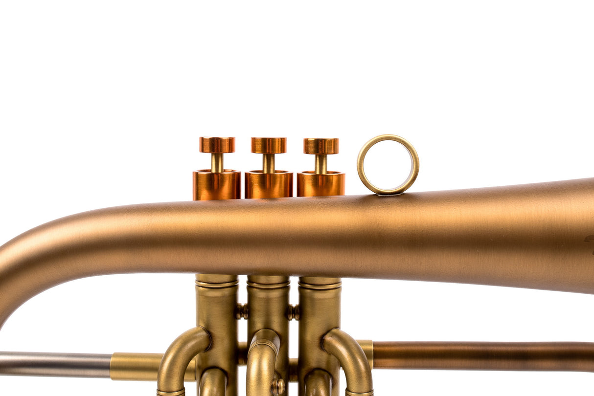 KGUmusic-Taylor Heritage Flugelhorn | Bronze Bell | Unique Finish