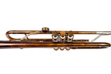 King 600 Trumpet Customized by KGUmusic