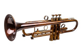 King 600 Trumpet Customized by KGUmusic