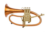 Phat Boy Flugelhorn by KGUmusic & Andy Taylor