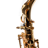 Saxophone ArtTone Booster | Tone Enhancer | Bird Design