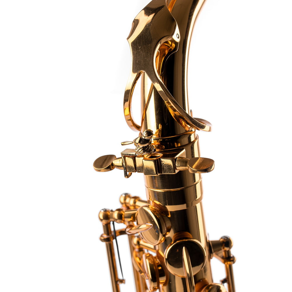 Saxophone ArtTone Booster | Tone Enhancer | Bird Design