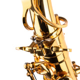 Saxophone ArtTone Bronze Booster - Bird Design