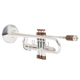 Trumpet 3D Flamer ARTISTIC series Trim Kit. KGUmusic