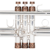 3D Flamer Heavy Trim Kit + Flamer Trumpet Mouthpiece Booster