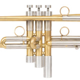 Trumpet XXL EXTRA HEAVY Trim Kit. KGUmusic