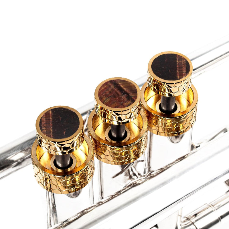 Trumpet Honey ARTISTIC series Trim Kit. KGUmusic