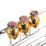 Trumpet Honey ARTISTIC series Trim Kit. KGUmusic
