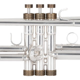 Trumpet INFINITY ARTISTIC series Trim Kit. KGUmusic