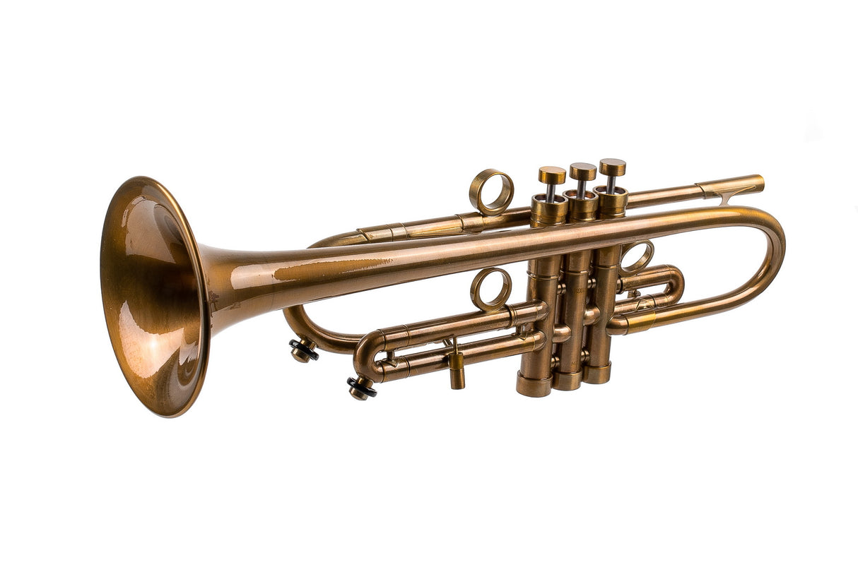 Trumpet KGUmusic Volya – 130 mm Brass Bell, Patina, Gloss lacquer