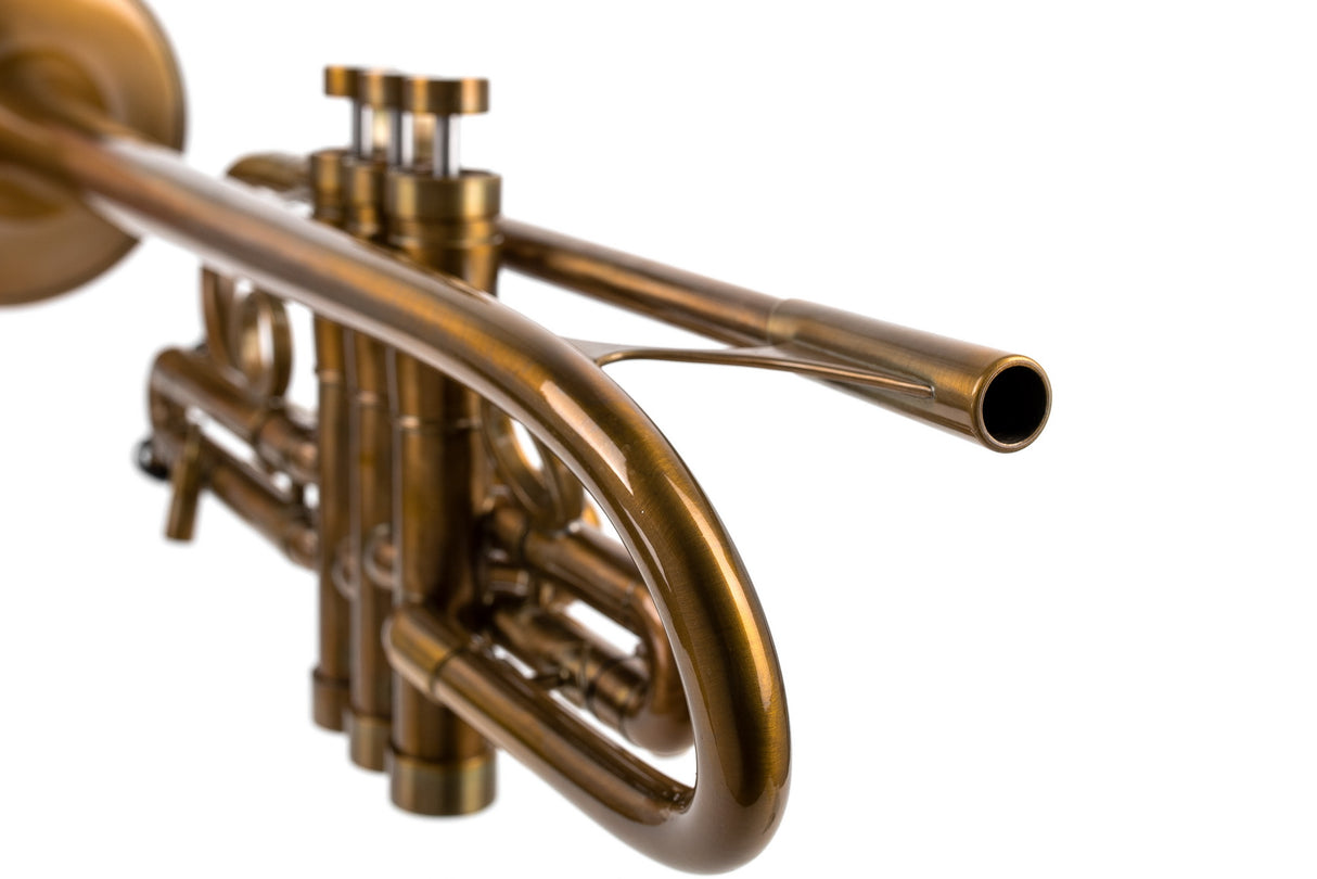Trumpet KGUmusic Volya – 130 mm Brass Bell, Patina, Gloss lacquer