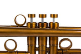 Trumpet KGUmusic Volya – 130 mm Bell | Yellow Brass Stem, Red Brass Flare, Patina Gloss Lacquer