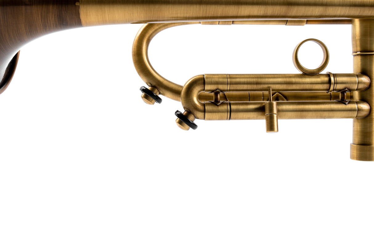 Trumpet KGUmusic Volya – 130 mm Red Brass Bell, Satin + Patina, Gloss Lacquer