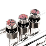 Trumpet SPECIAL EDGE Trim Kit. KGUmusic