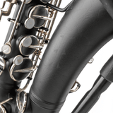 Saxophone Alto The Martin Handcraft Committee, Customized by KGUmusic