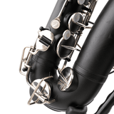 Saxophone Alto The Martin Handcraft Committee, Customized by KGUmusic