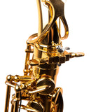 Saxophone ArtTone Booster - Bird Design