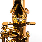 Saxophone ArtTone Booster - Bird Design