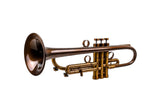 Trumpet KGUmusic Volya – 130 mm Red Brass Bell, Patina, Gloss Lacquer