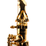 Gold Plated Sax ArtTone Booster | Type of mount – Lyre holder, screw-on (left side)