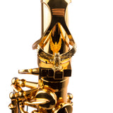 Gold Plated Sax ArtTone Booster | Type of mount – Lyre holder, screw-on (left side)