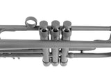 Matte Grey Edition Bach Stradivarius 180-37 by KGUmusic