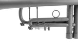 Matte Grey Edition Bach Stradivarius 180-37 by KGUmusic